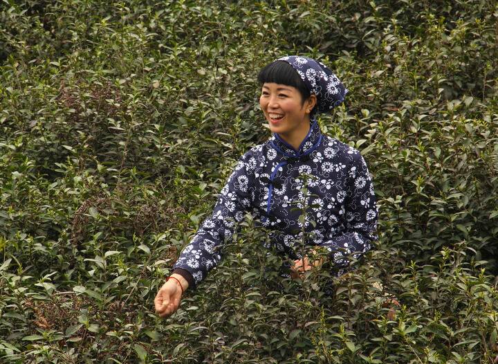 嘴唇直播下载 子弹与玫瑰